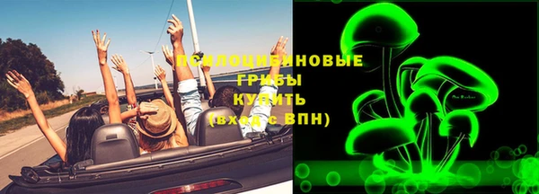 ECSTASY Заводоуковск