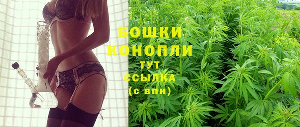 ECSTASY Заводоуковск