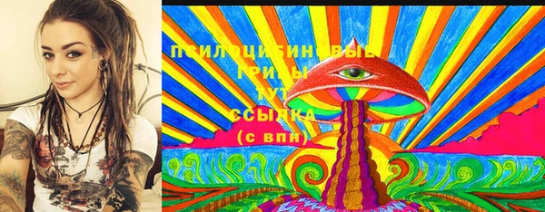 ECSTASY Заводоуковск